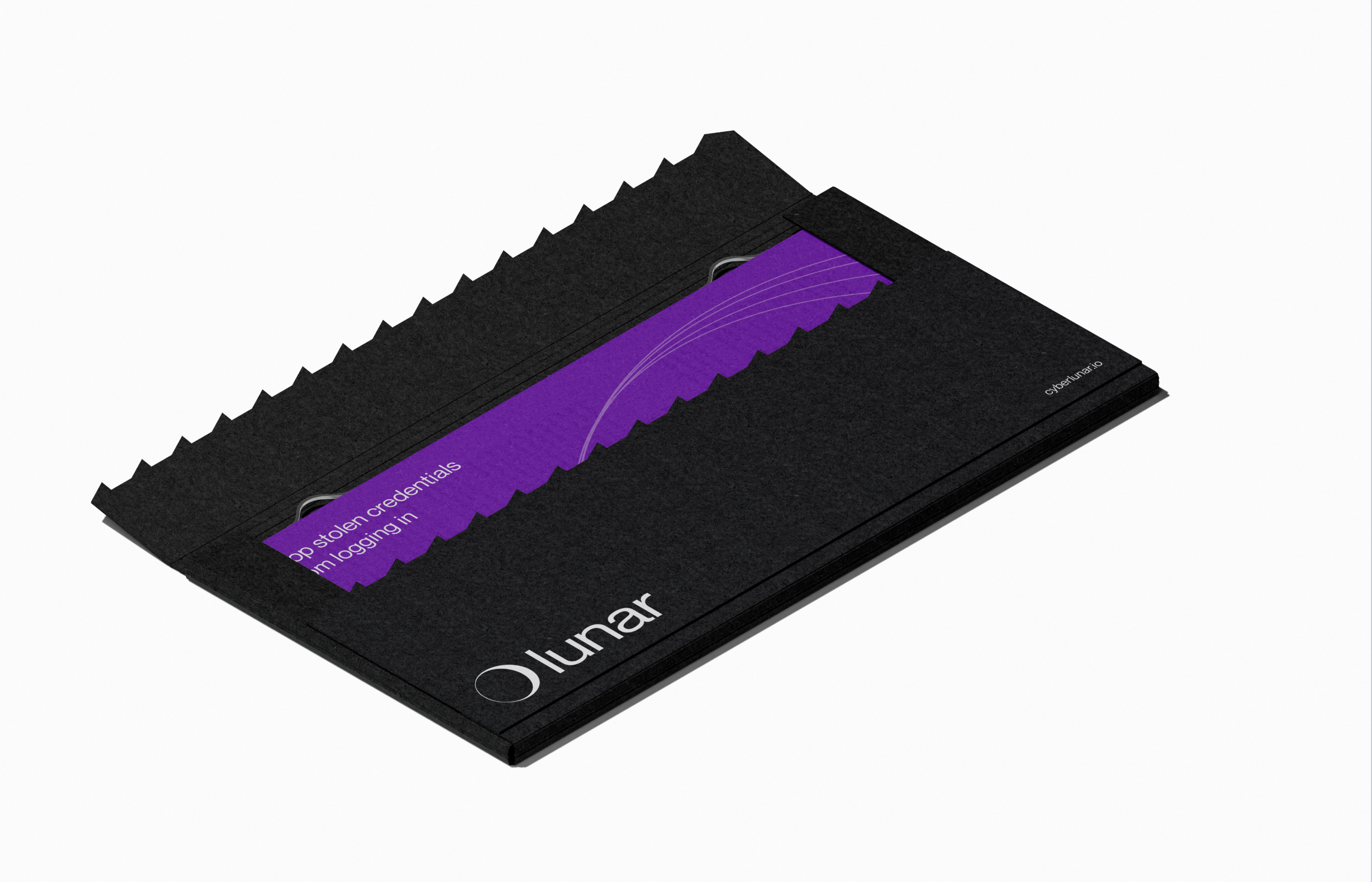Lunar mobile security campaign interface concepts